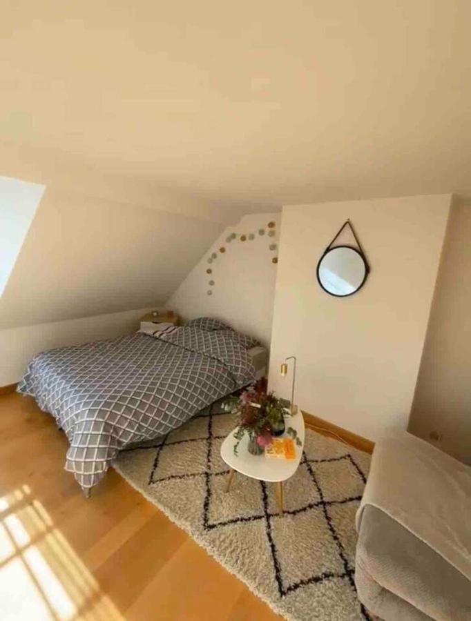 אלנסון Logement Centre Ville 1 A 4 Chambres מראה חיצוני תמונה